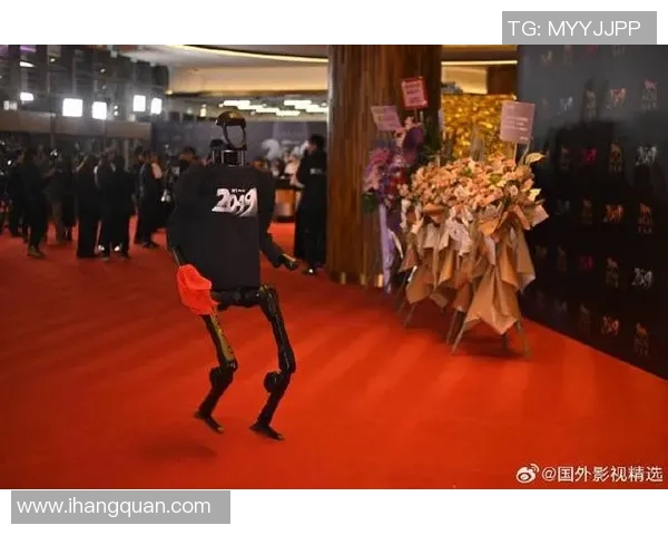 张娜的极限运动人生探索：勇敢追梦与挑战自我的深度对话